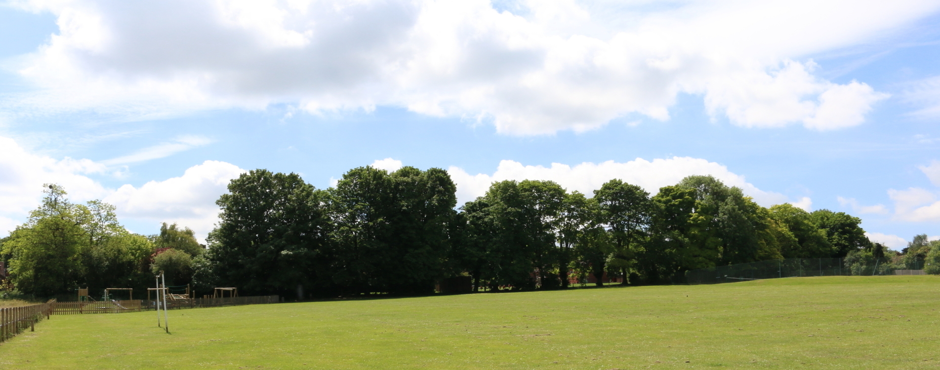 Barley Plaistow on a sunny day