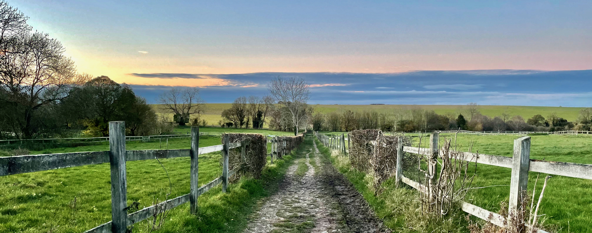 footpath-through-fields 