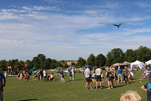 Bird-display-at-the-Barley-Show