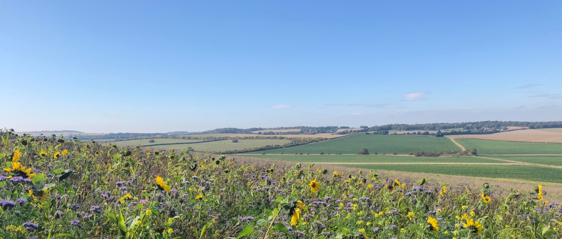 Alice Robertson photo of Barley Village