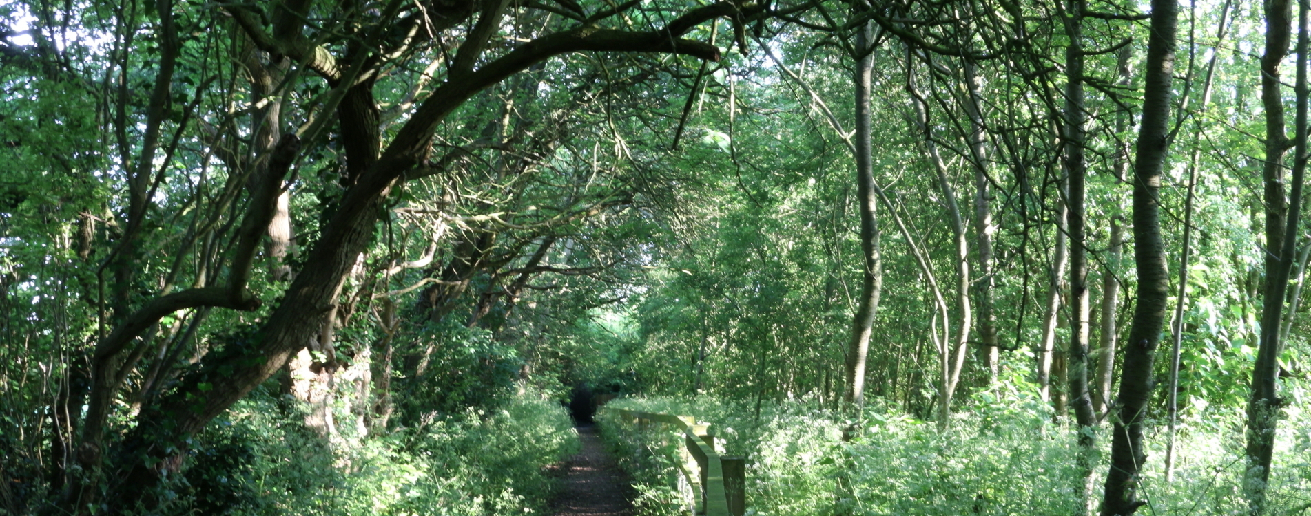 one of the many footpaths of Barley village