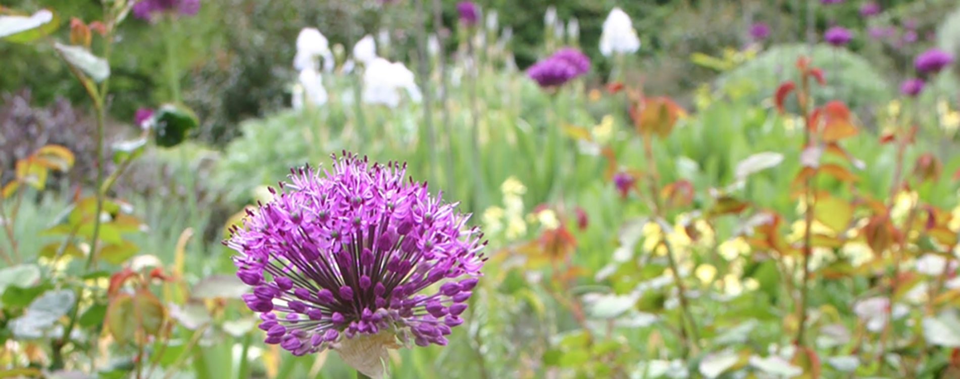 trips-with-barley-gardening-club 