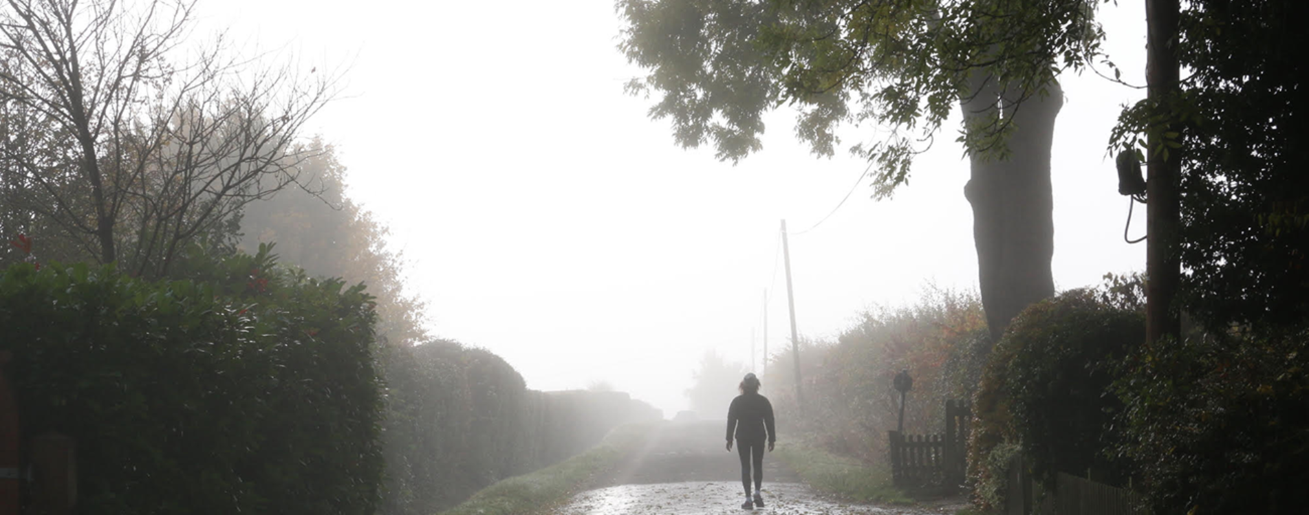 smith-end-lane-on-a-foggy-morning