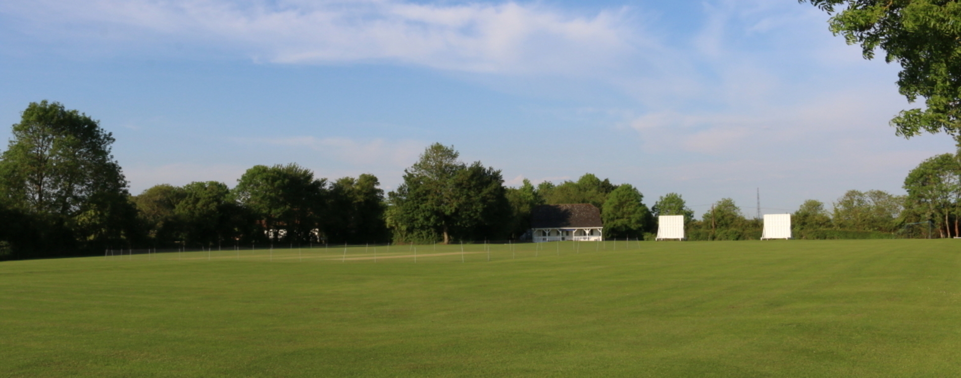 Barley-cricket-pitch