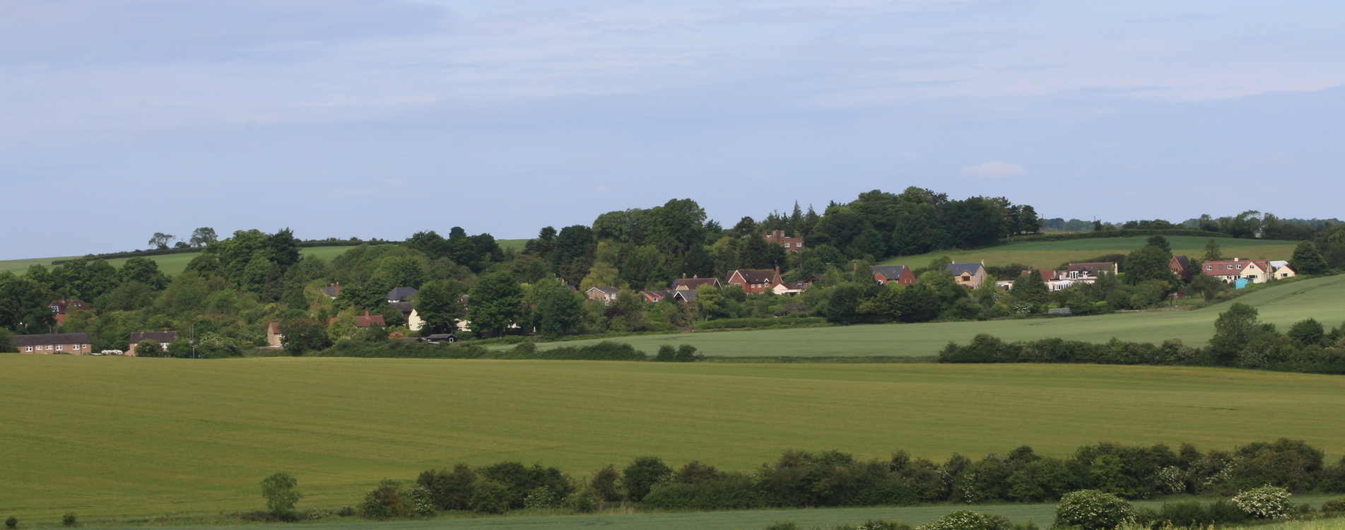 Barley nestled amongst the fields
